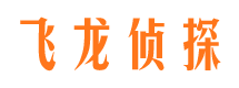 陕西市调查公司